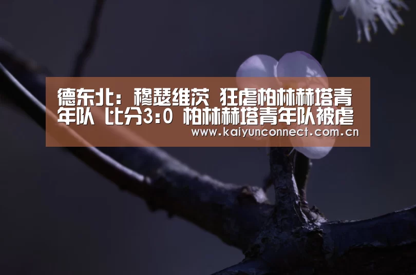 开云入口