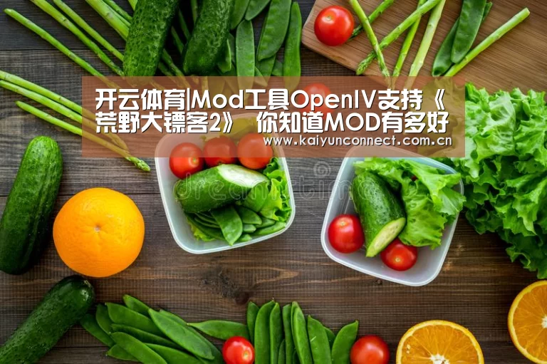 开云体育|Mod工具OpenIV支持《荒野大镖客2》 你知道MOD有多好玩吗(图2) 开云体育