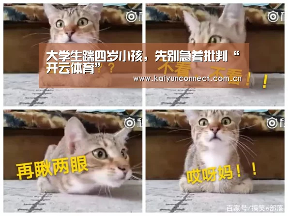 KAIYUN官网