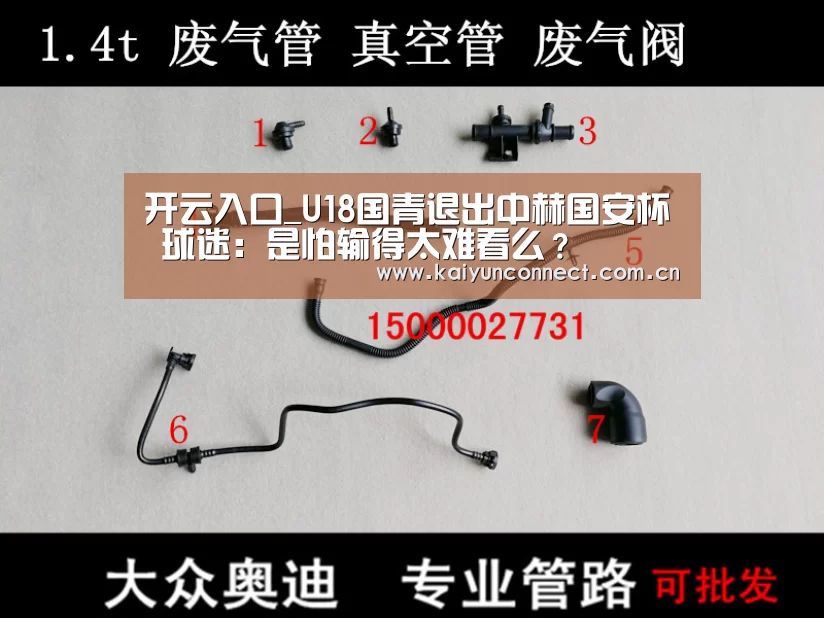 开云入口_U18国青退出中赫国安杯 球迷:是怕输得太难看么?(图1) KAIYUN官网